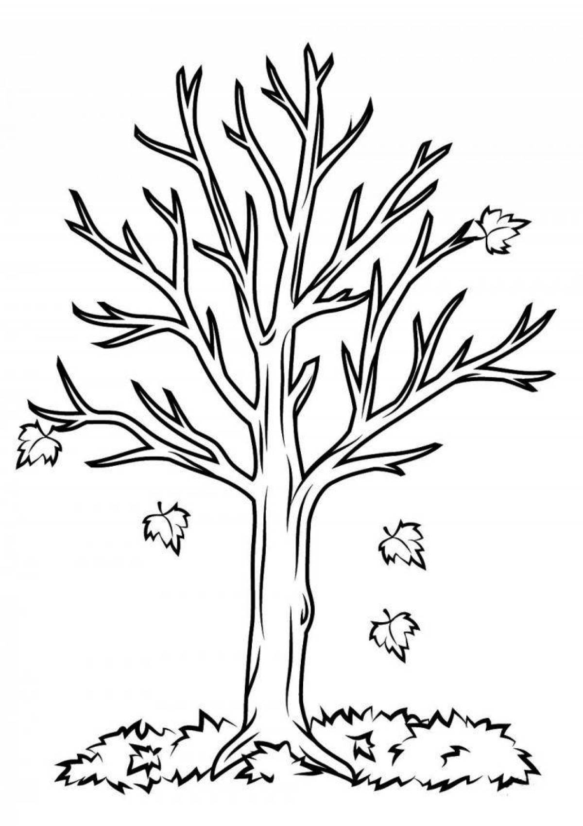 Great tree coloring book for 6-7 year olds