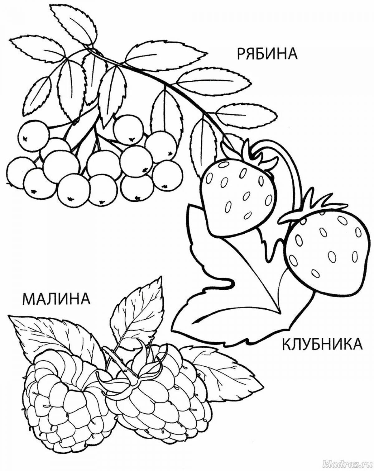 Coloring for bright berries for children 3-4 years old