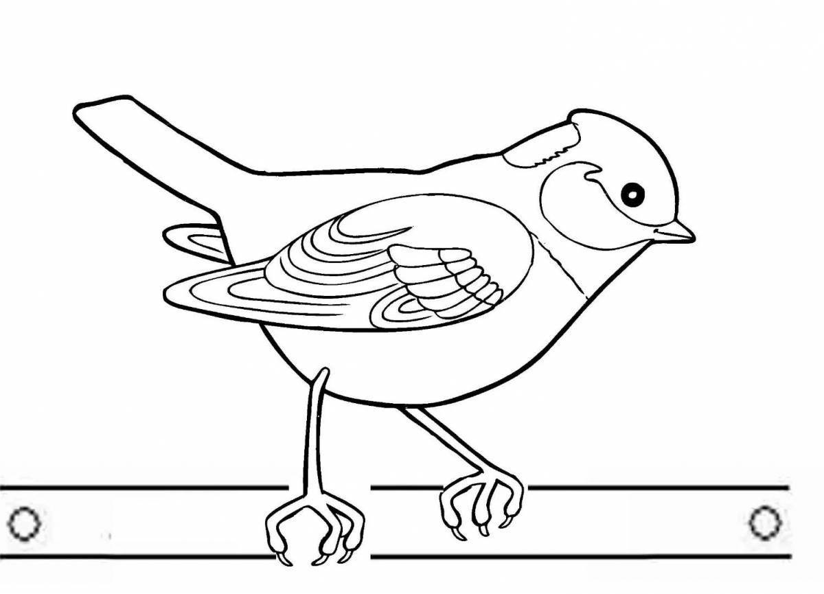 Amazing coloring pages of wintering birds for children 3-4 years old