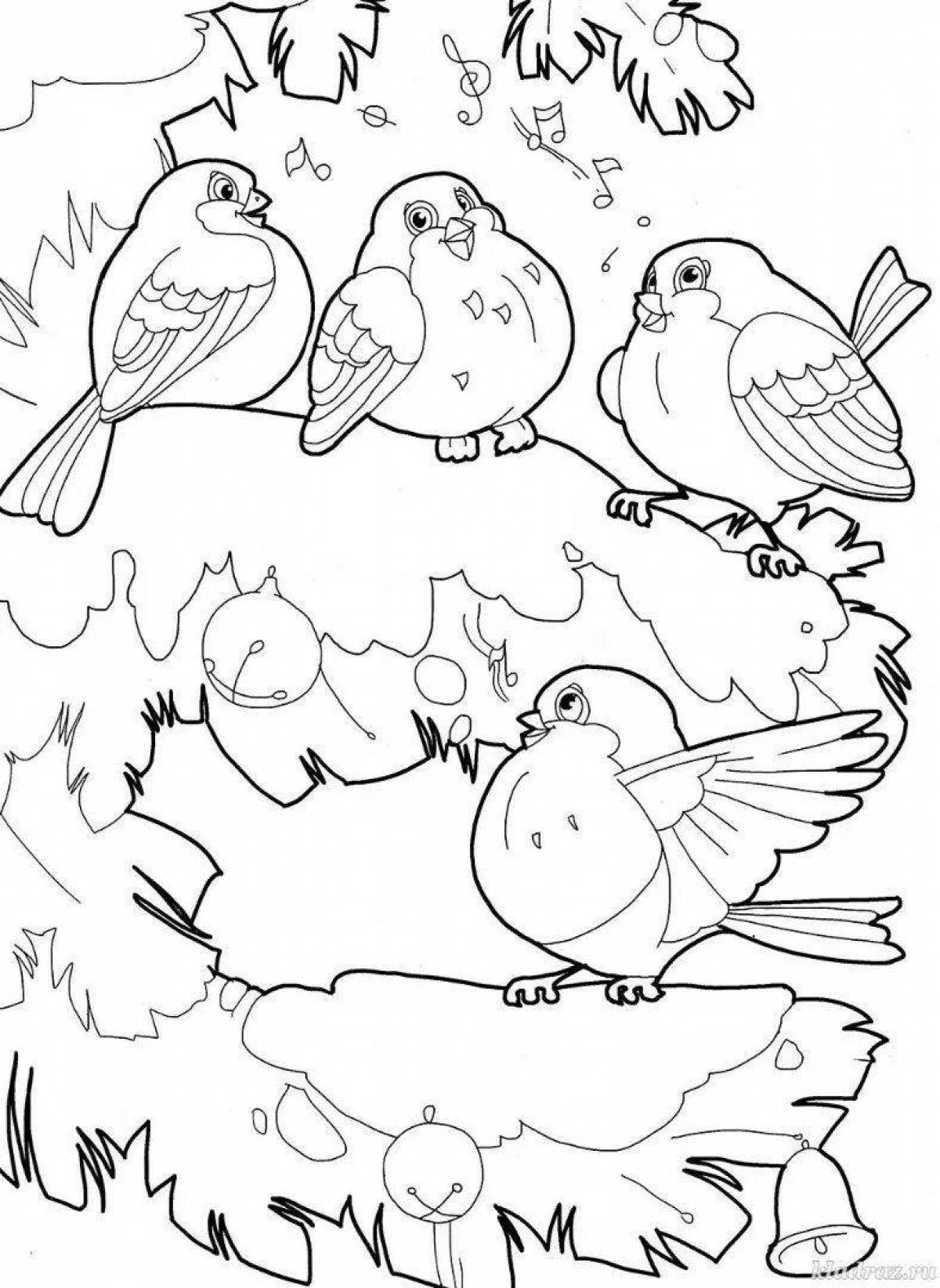 Coloring book dazzling wintering birds for children 3-4 years old