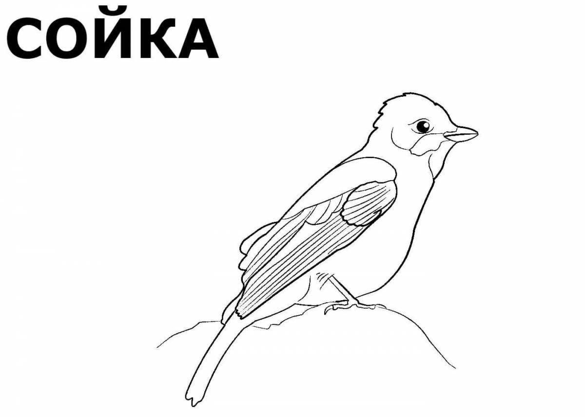 Wonderful wintering birds coloring pages for children 3-4 years old