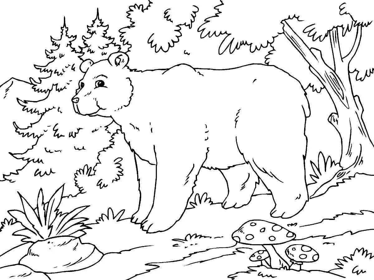 Coloring pages with lush forest animals for children 5-6 years old