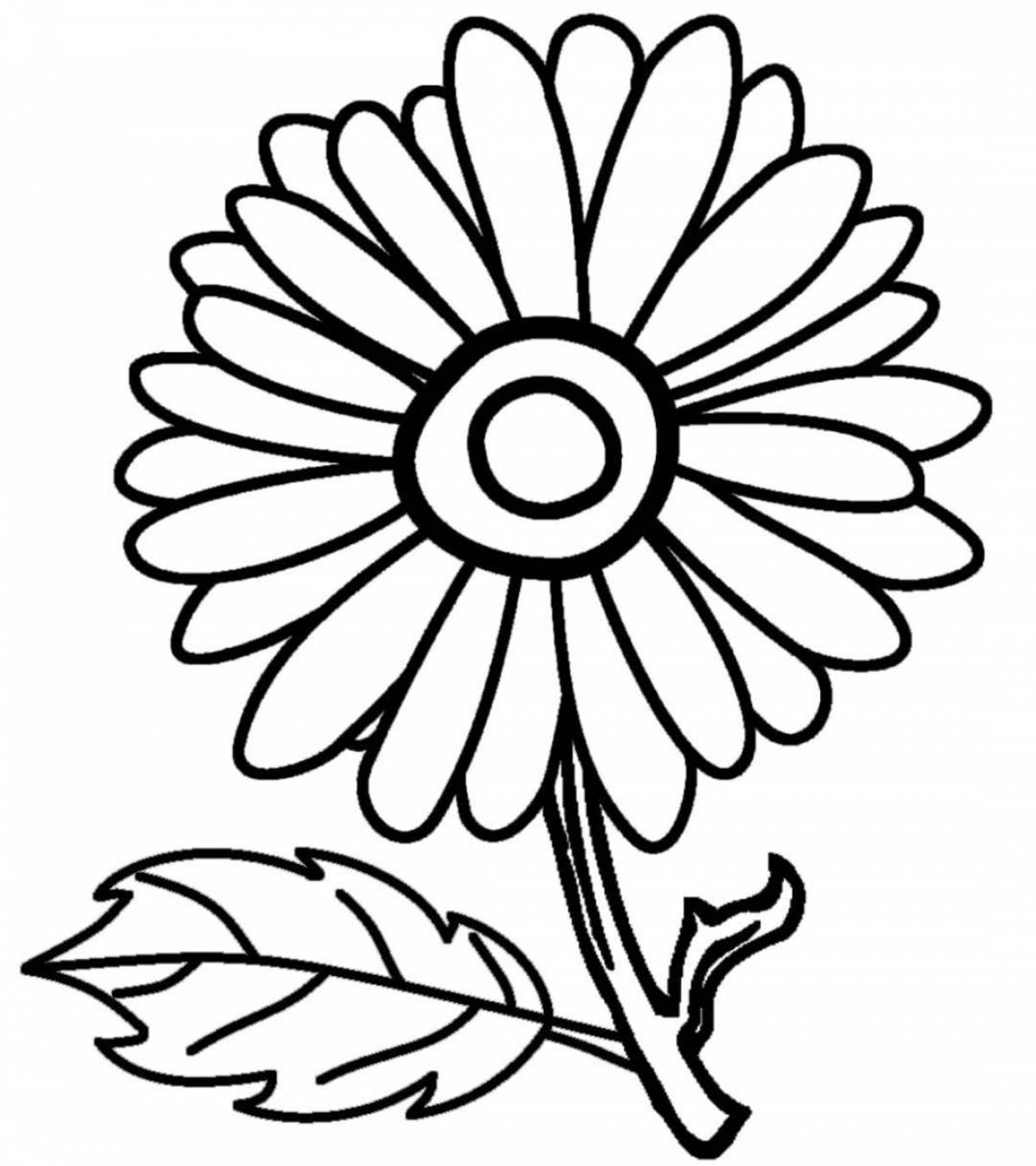Fun daisy coloring for kids