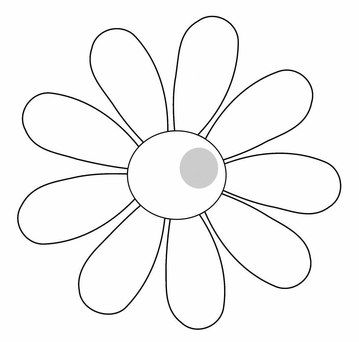 Fun daisy coloring for kids