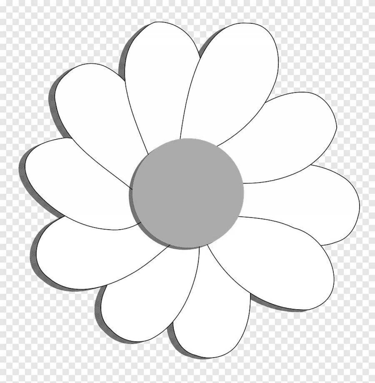 Fun daisy coloring book for 3-4 year olds