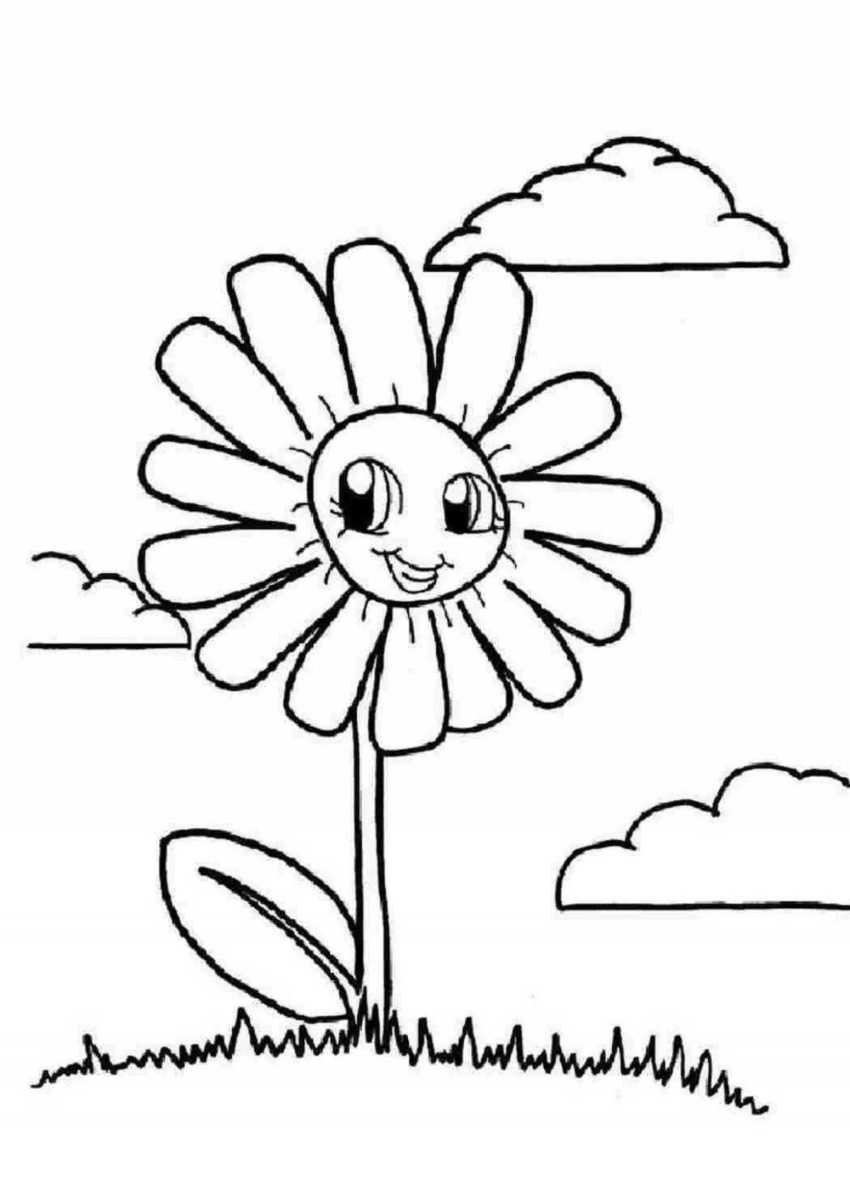 Sparkling Chamomile coloring book for preschoolers