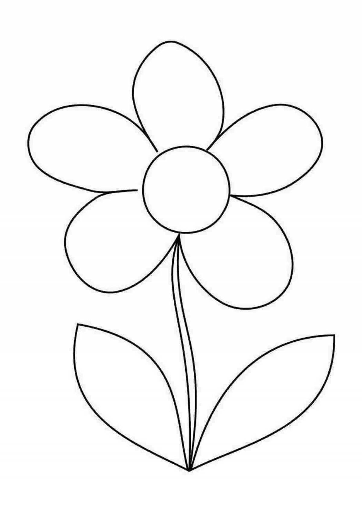 Tempting daisy coloring for kids