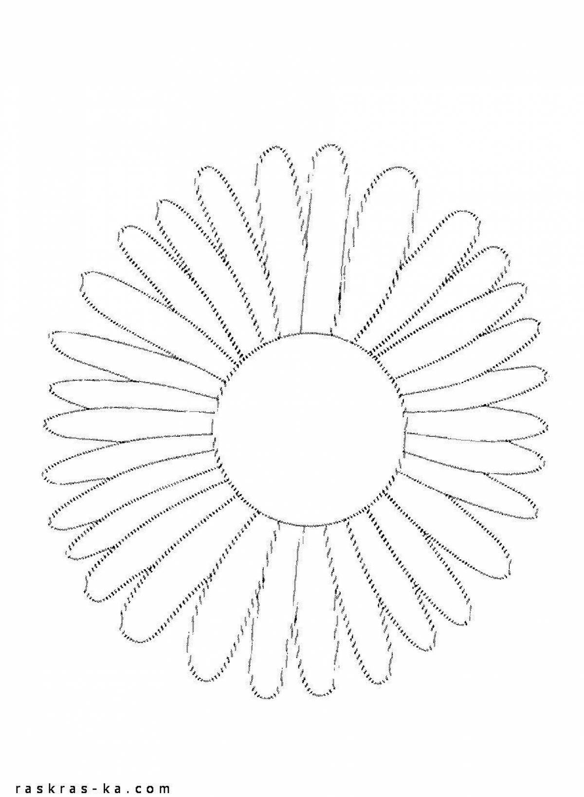 Fascinating daisy coloring book for preschoolers
