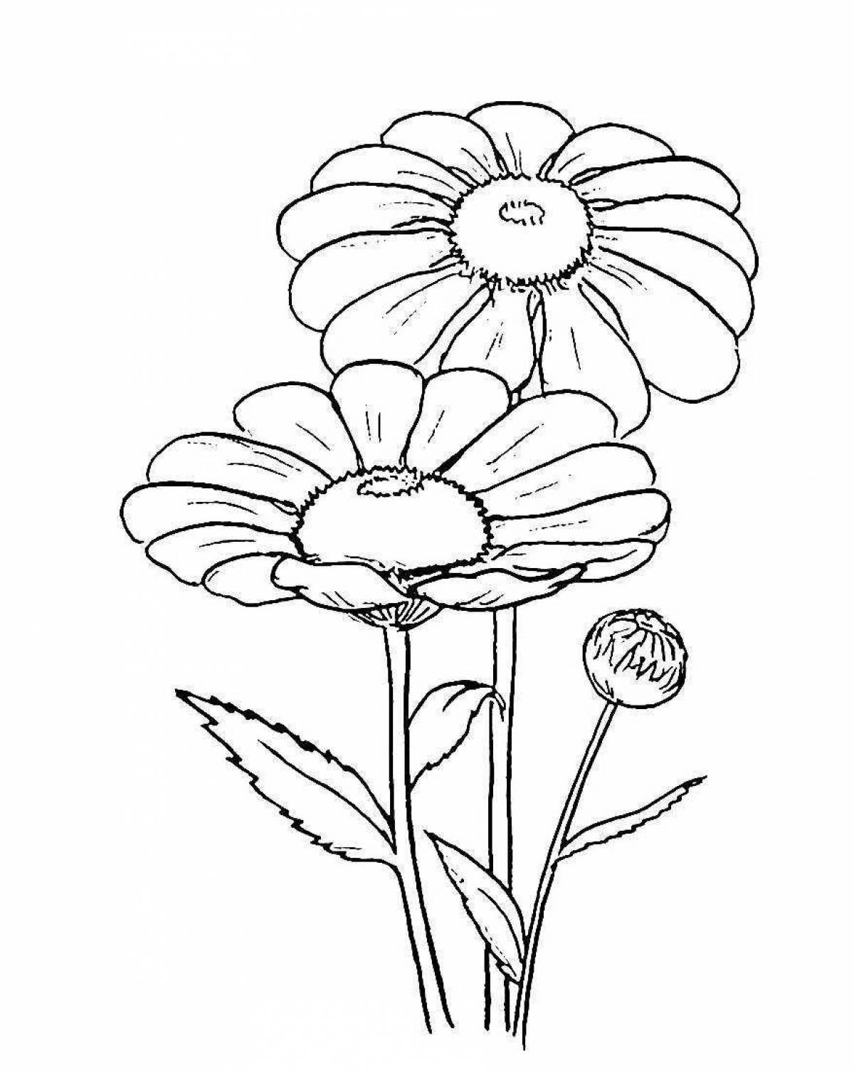 Great daisy coloring book for kids