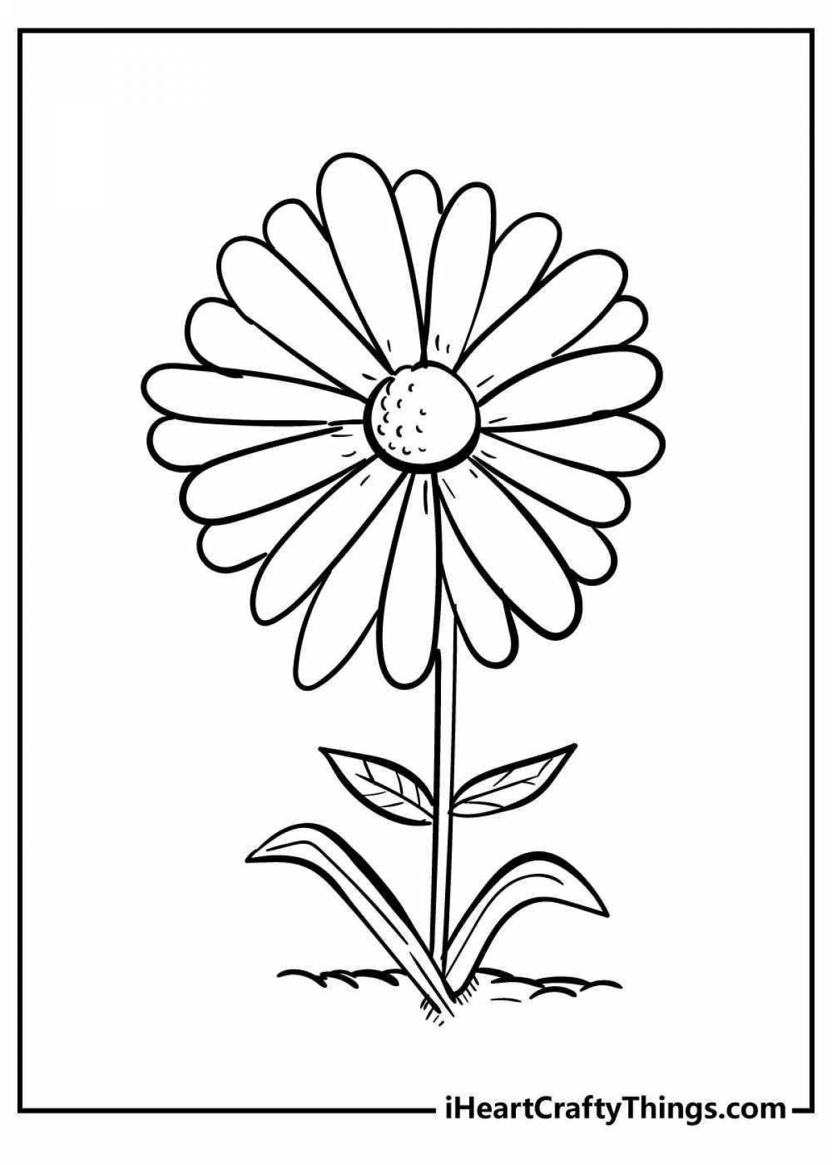 Camomile stimulating coloring book for 3-4 year olds