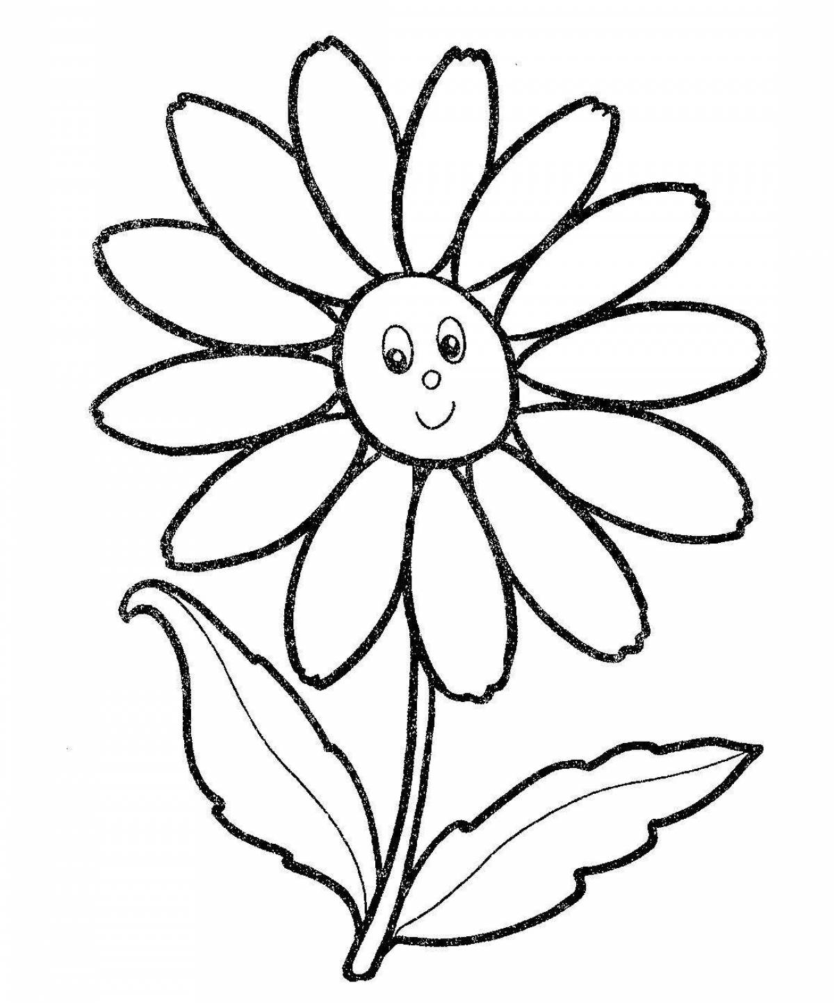 Awesome daisy coloring pages for preschoolers