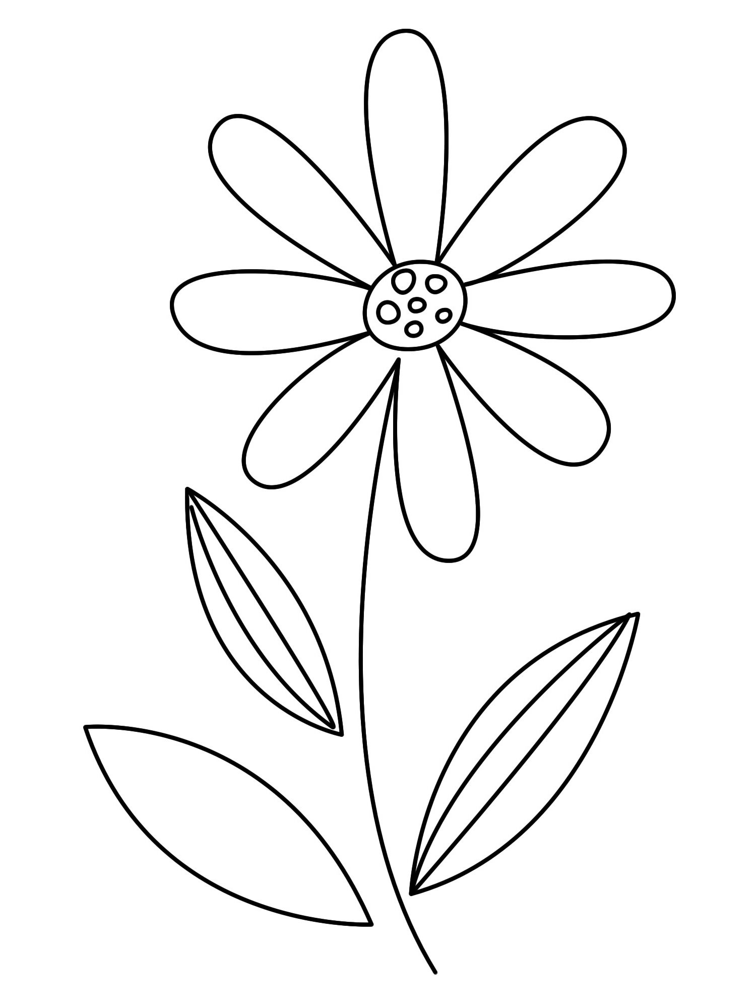 Exciting chamomile coloring book for 3-4 year olds