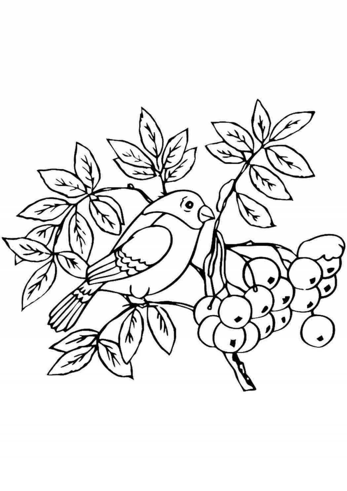 Animated bullfinch on a rowan branch for children