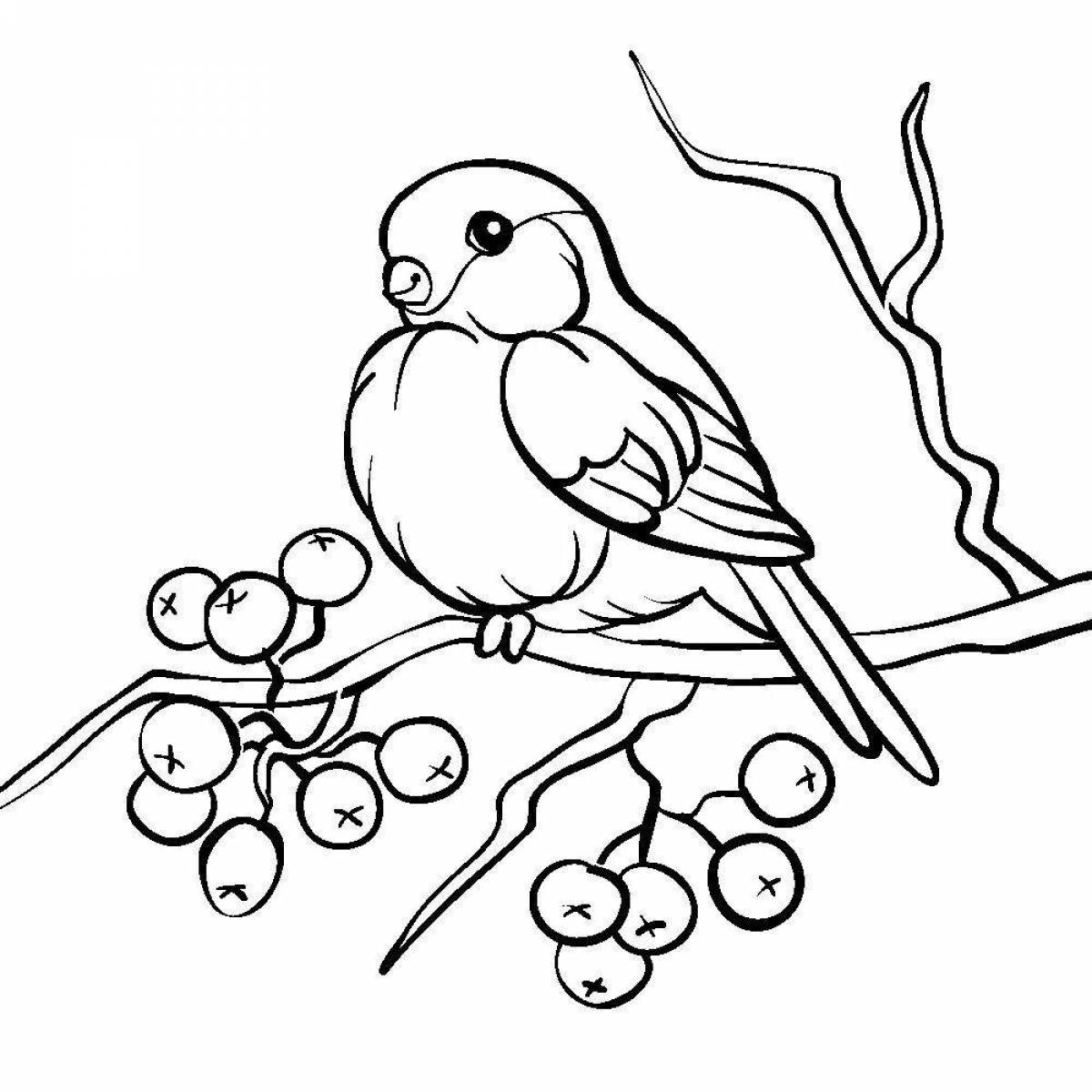 Delightful bullfinch on a rowan branch for kids