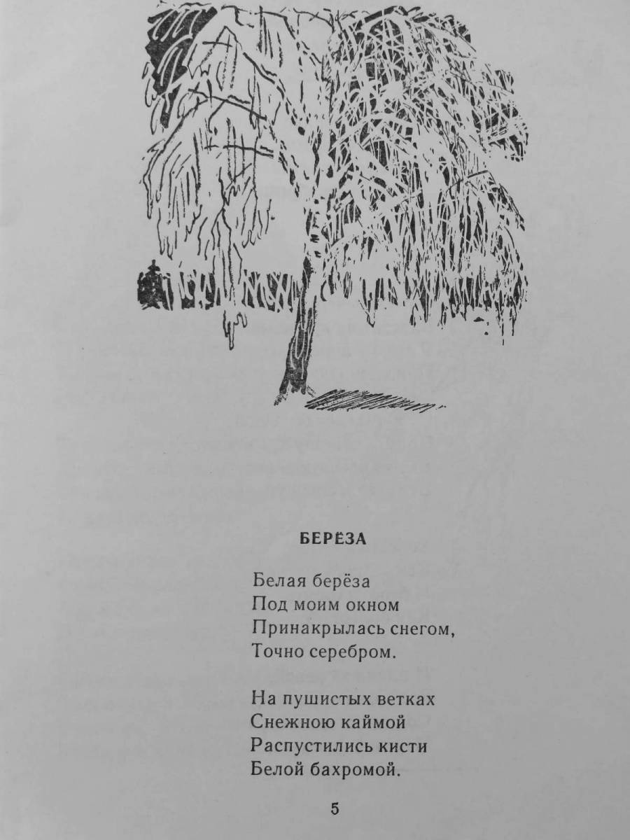 Стишок белая береза под моим. Иллюстрация к стихотворению Есенина белая береза. Стихотворение белая береза. Есенин белая береза. Стихотворение Есенина береза.