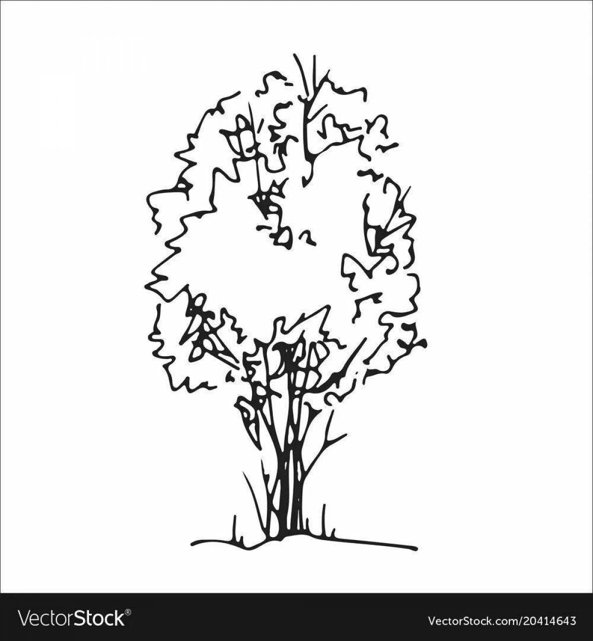 Cute bush coloring book for kids