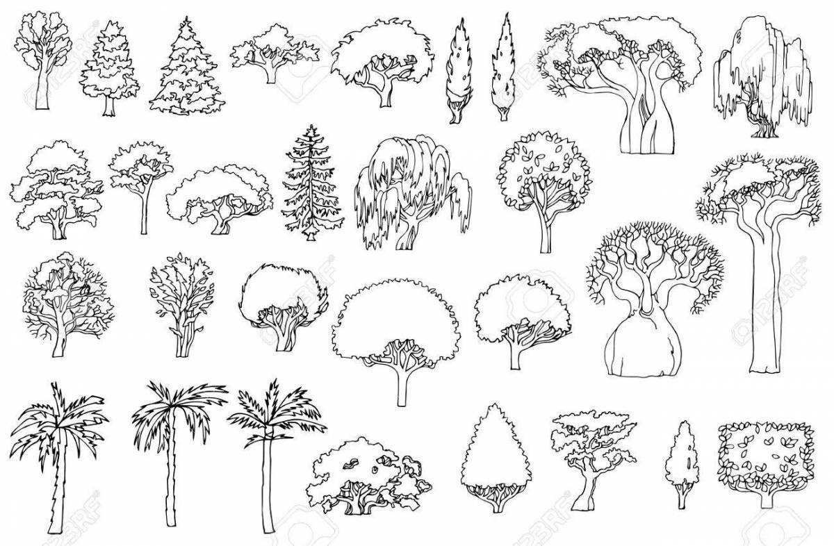 Awesome bush coloring page for kids