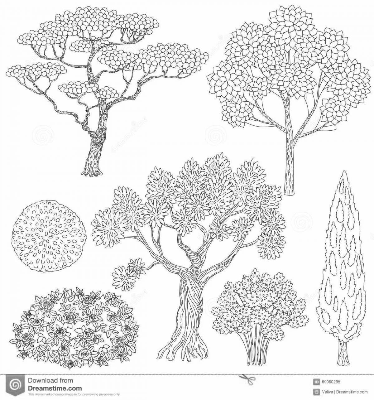 Gorgeous bush coloring book for kids