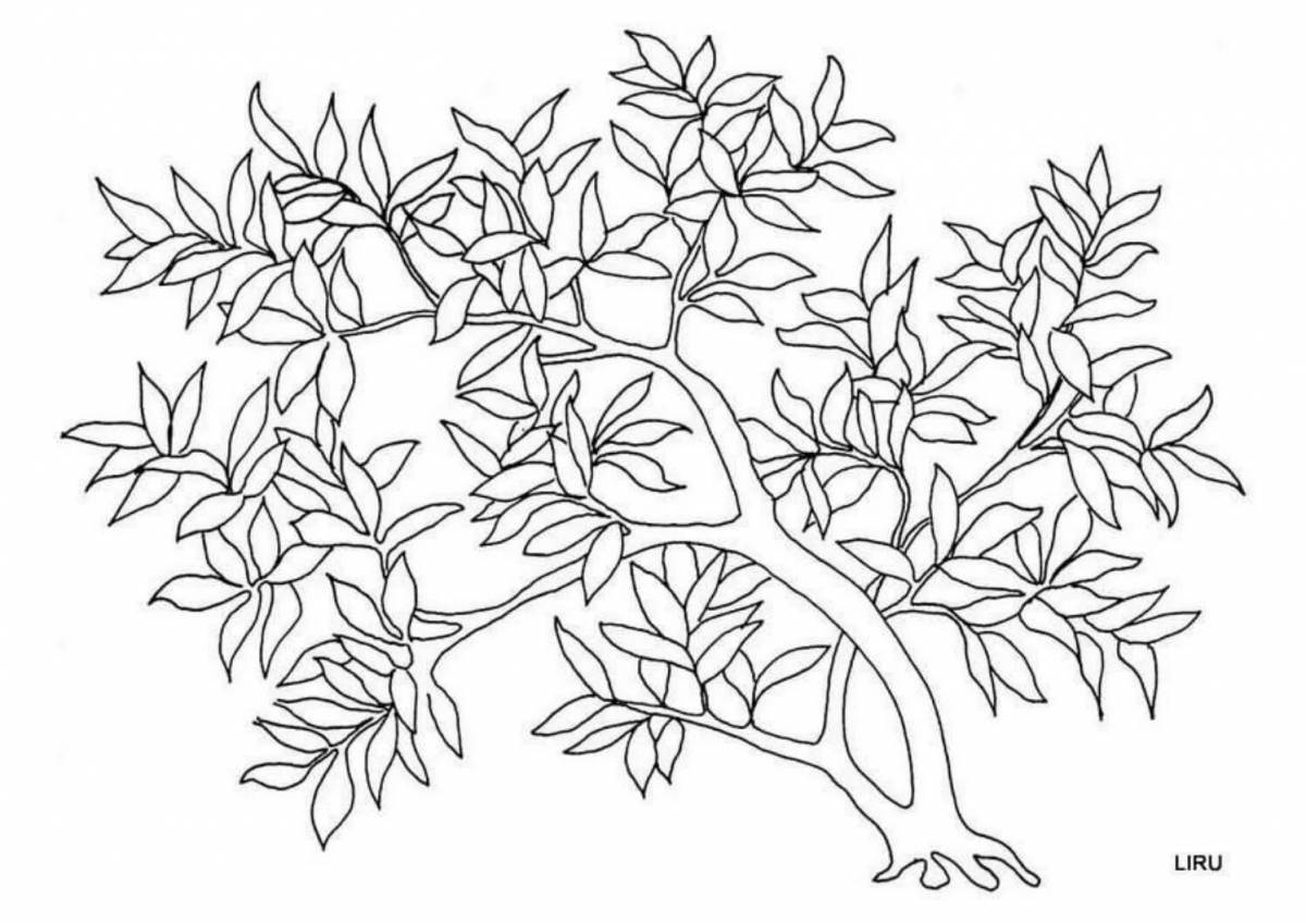 Exquisite bush coloring book for kids