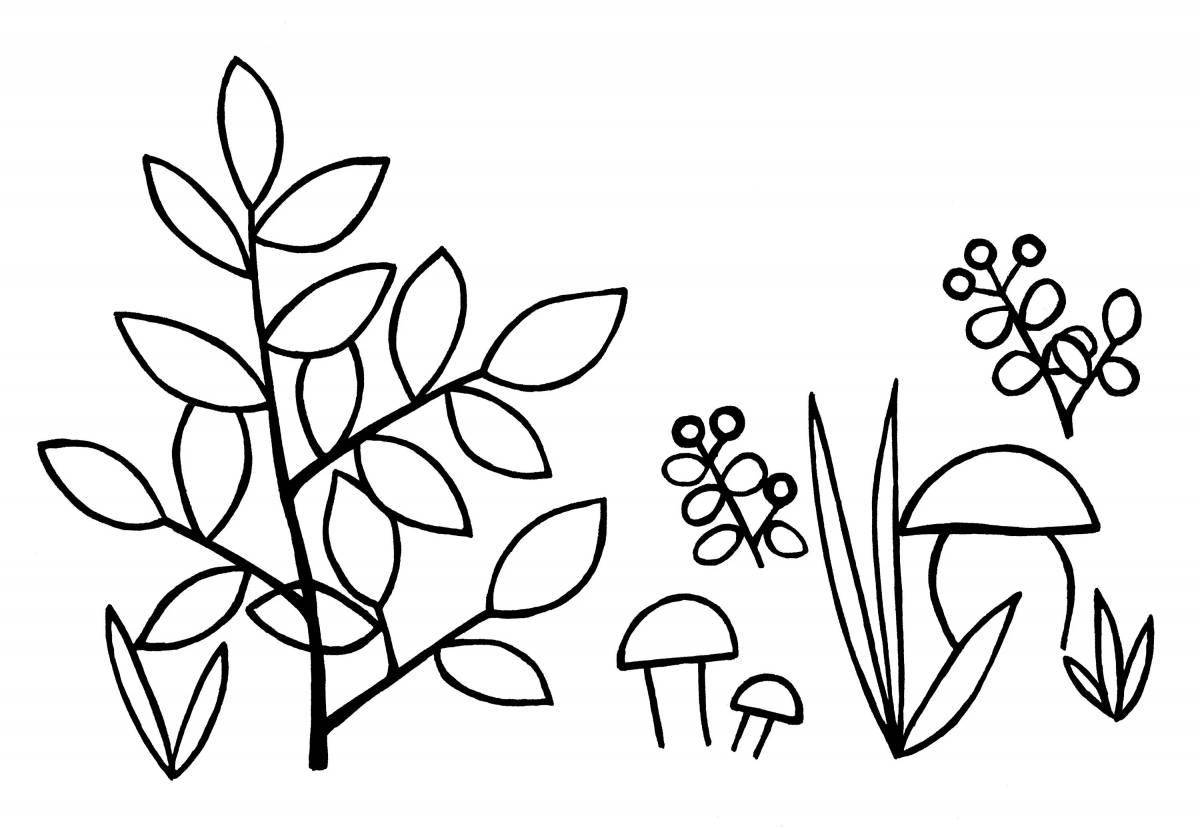 Gorgeous shrub coloring book for kids