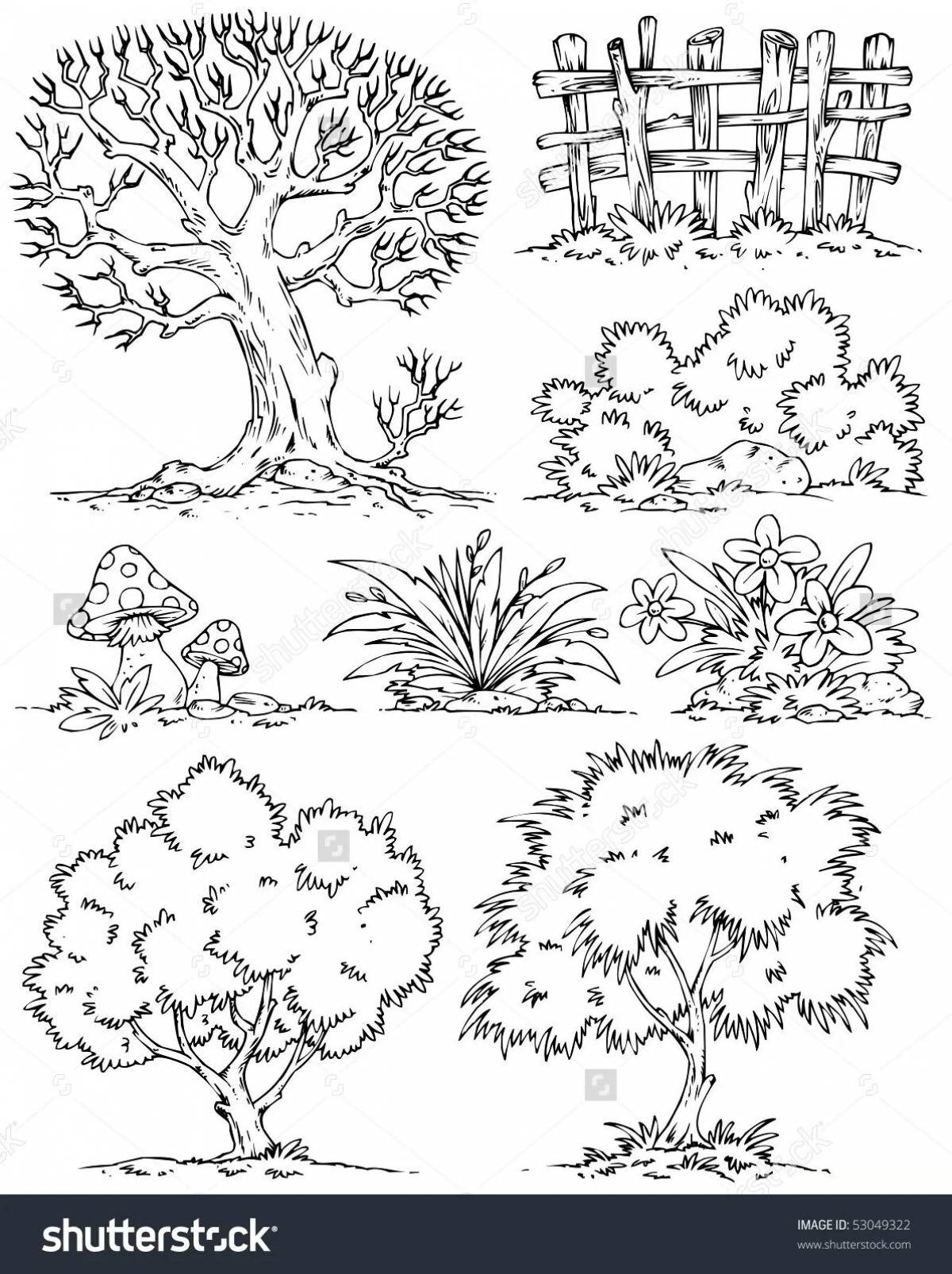 Coloring hip bush for kids