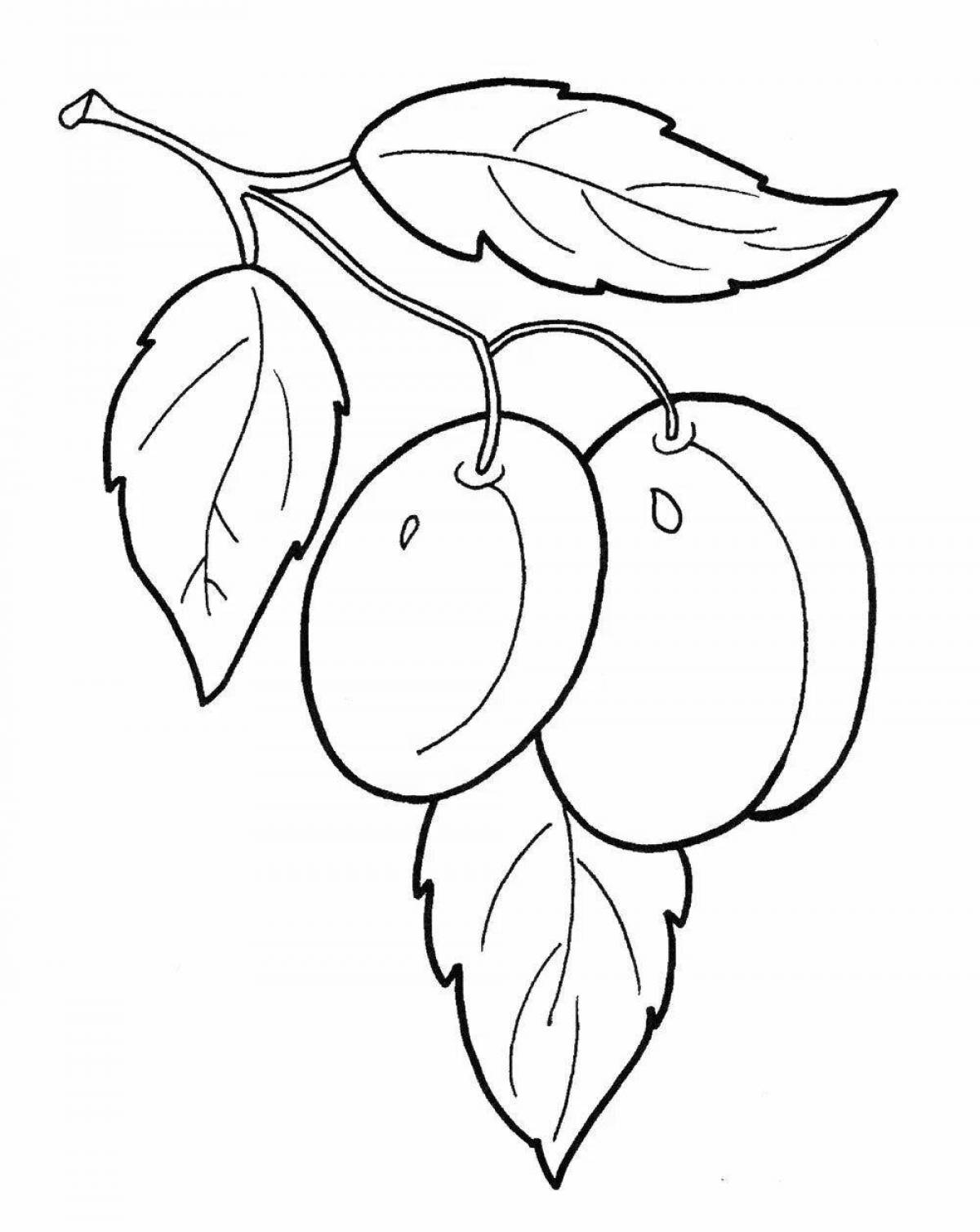 Living plum coloring book for kids