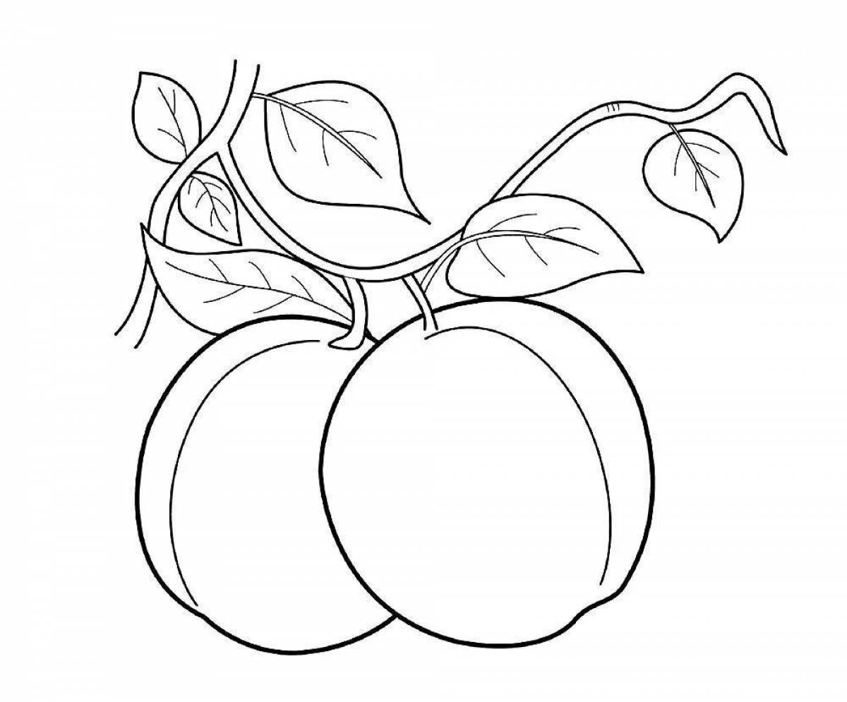 Amazing plum coloring page for kids