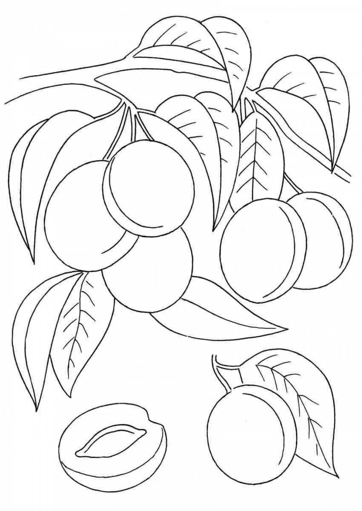 Children's stimulating plum coloring book