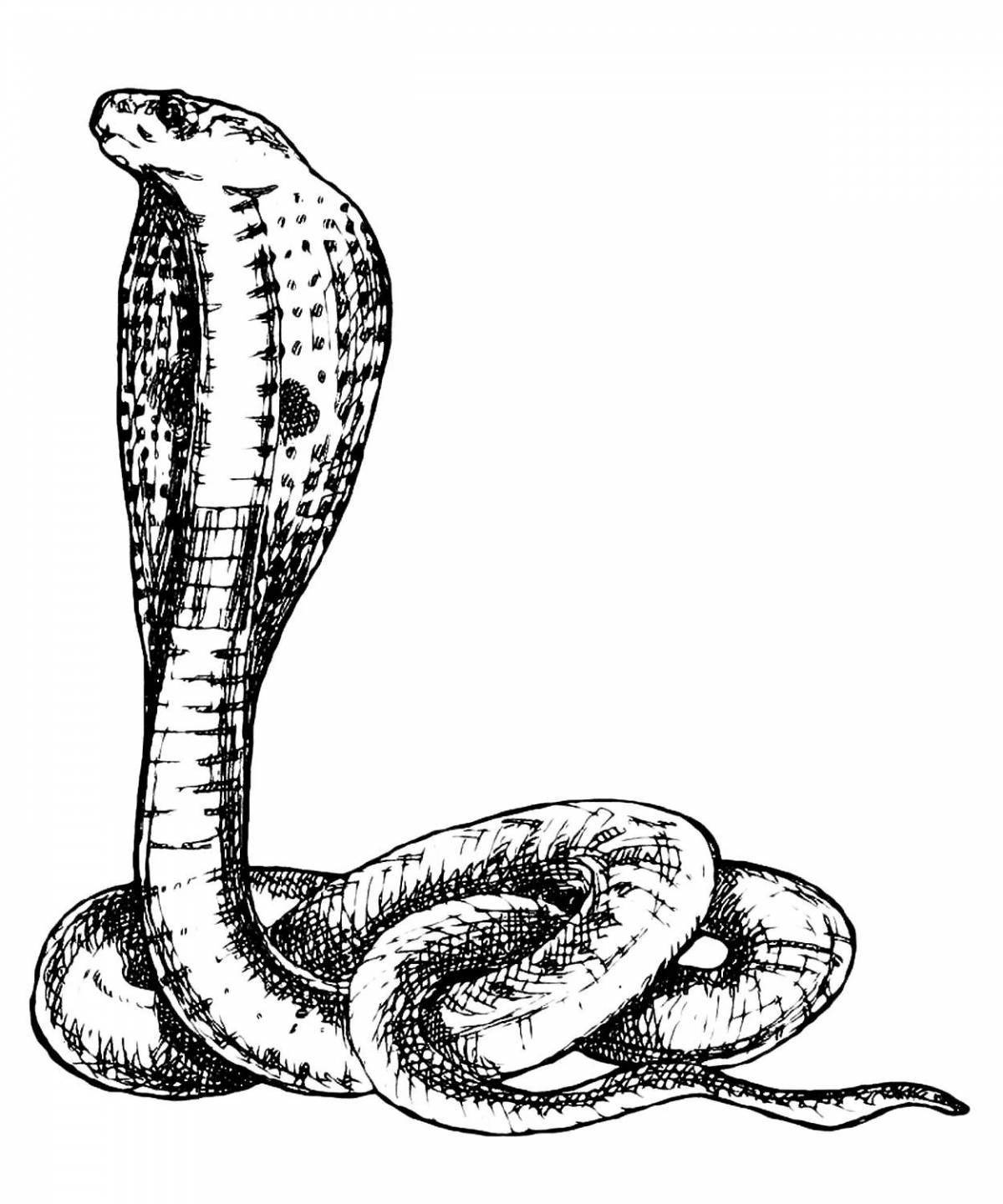 Кобра для детей #10