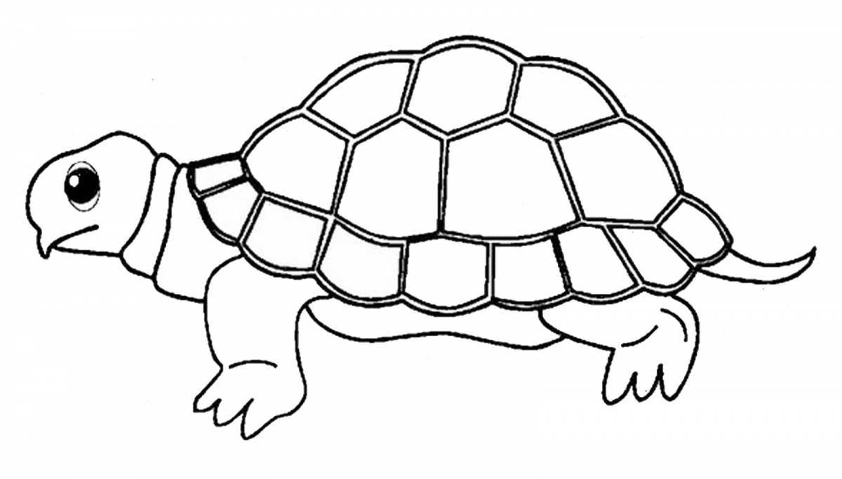 Веселая черепаха-раскраска для детей