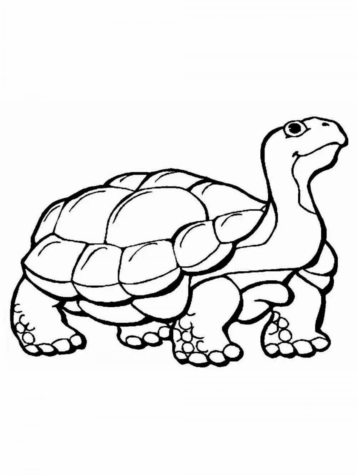 Игривая черепаха-раскраска для детей