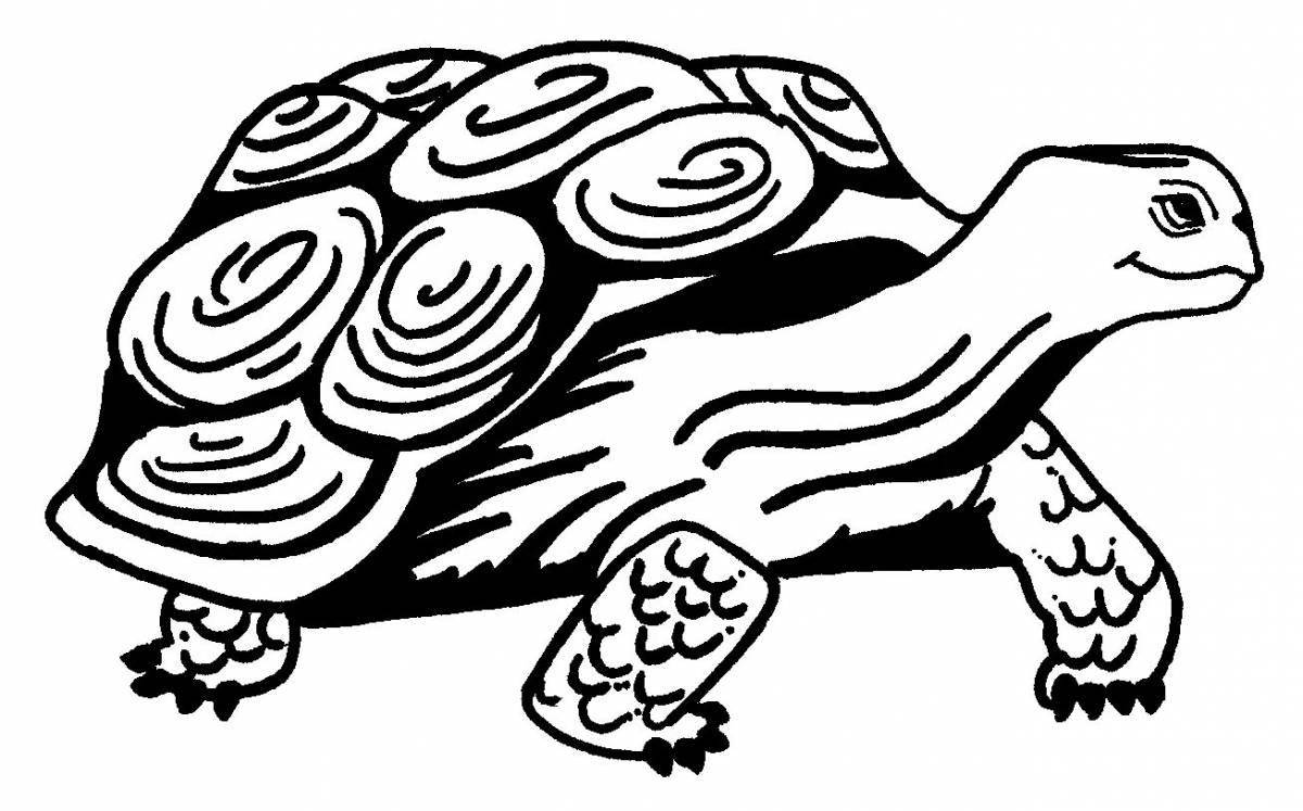 Симпатичная черепаха-раскраска для детей
