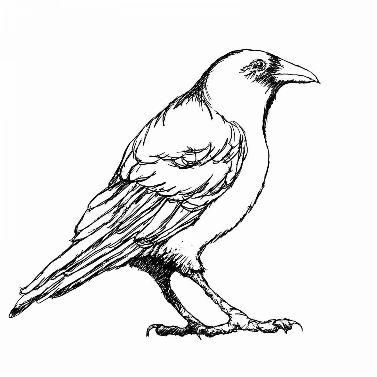 Colorful jackdaw coloring page for kids