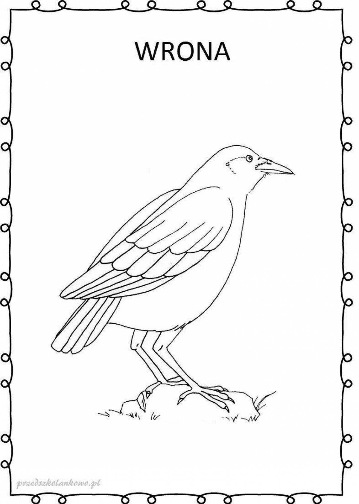 Bright jackdaw coloring for children