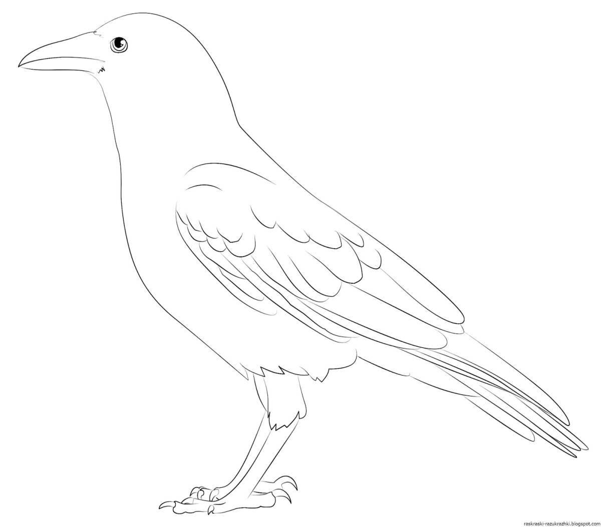 Children's jackdaw coloring book for kids