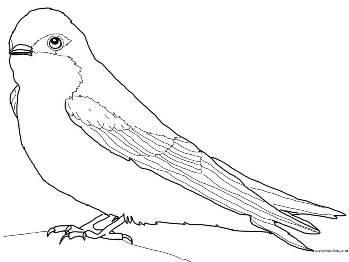 Coloring book playful jackdaw for children