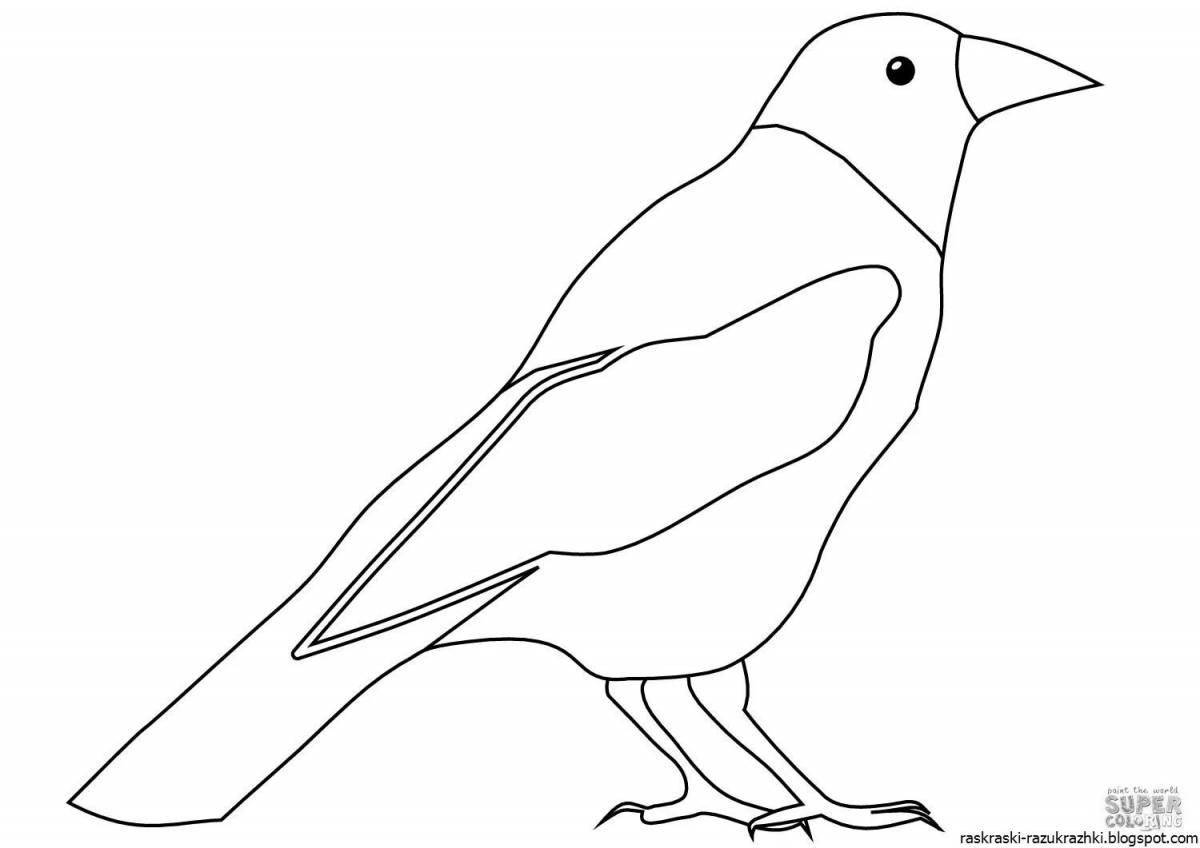 Cute jackdaw coloring for kids