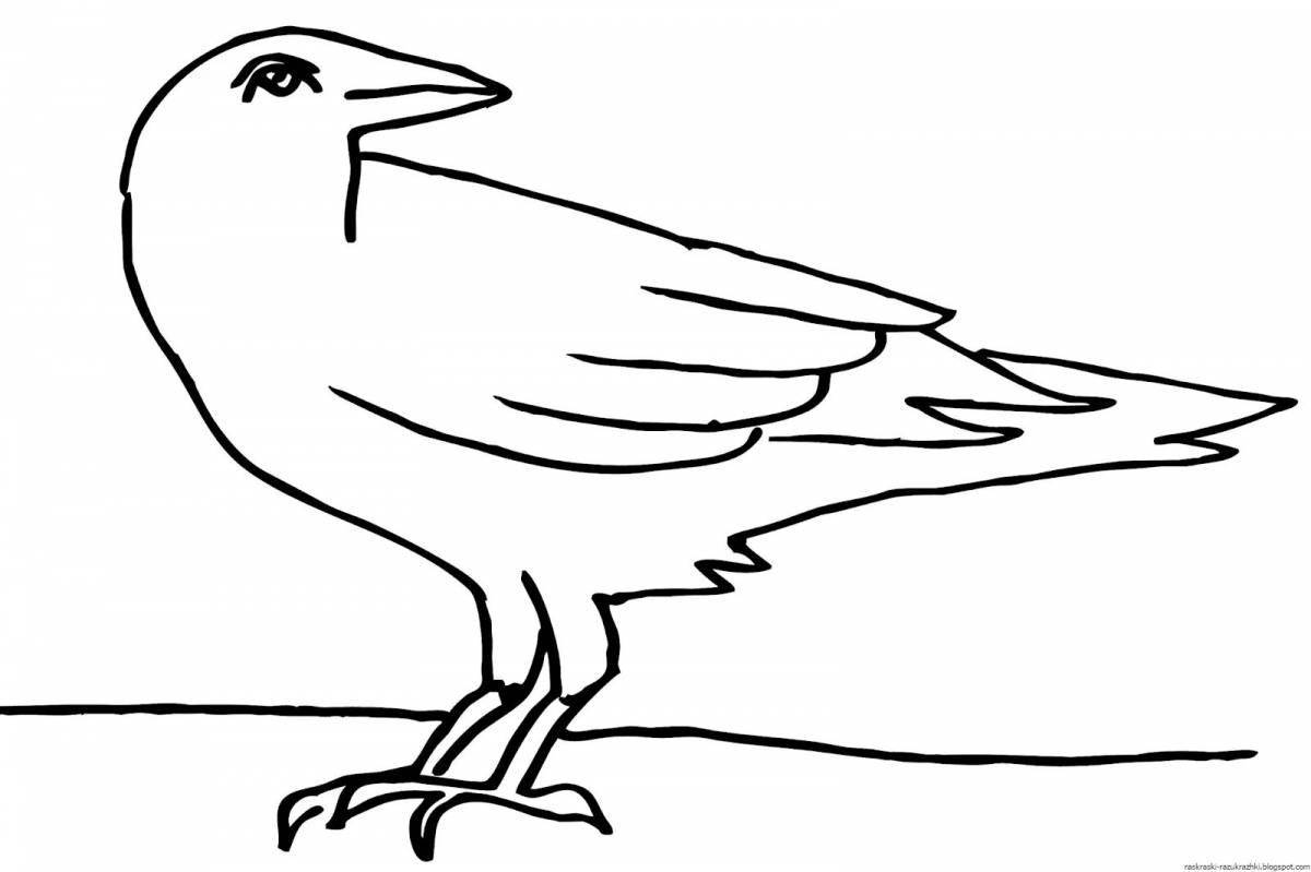 Creative jackdaw coloring for kids