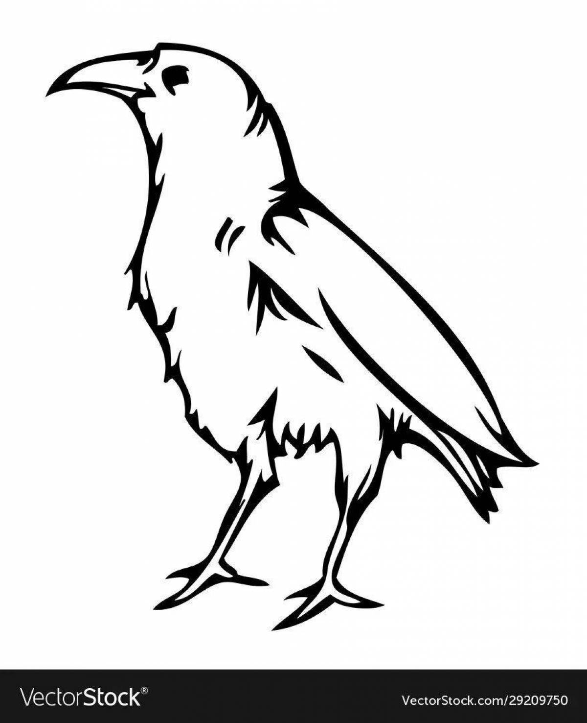 Attractive jackdaw coloring book for kids