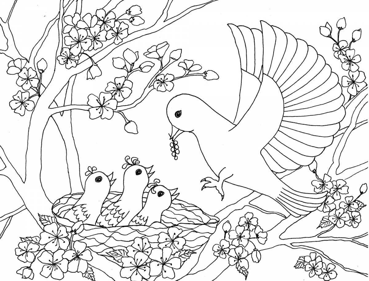 Великолепная раскраска птицы для детей