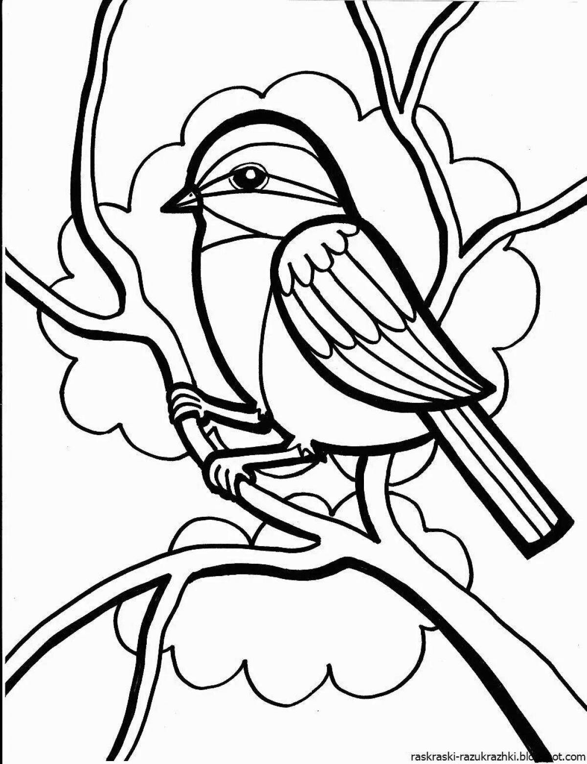 Fancy bird coloring pages for kids