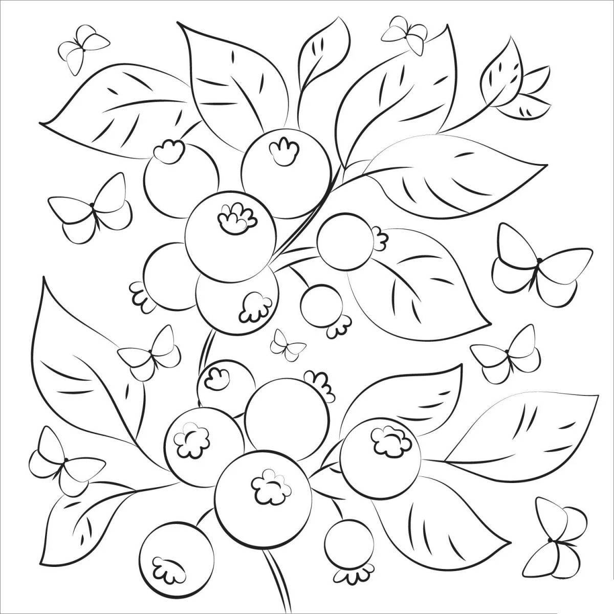 Children's blueberry coloring book