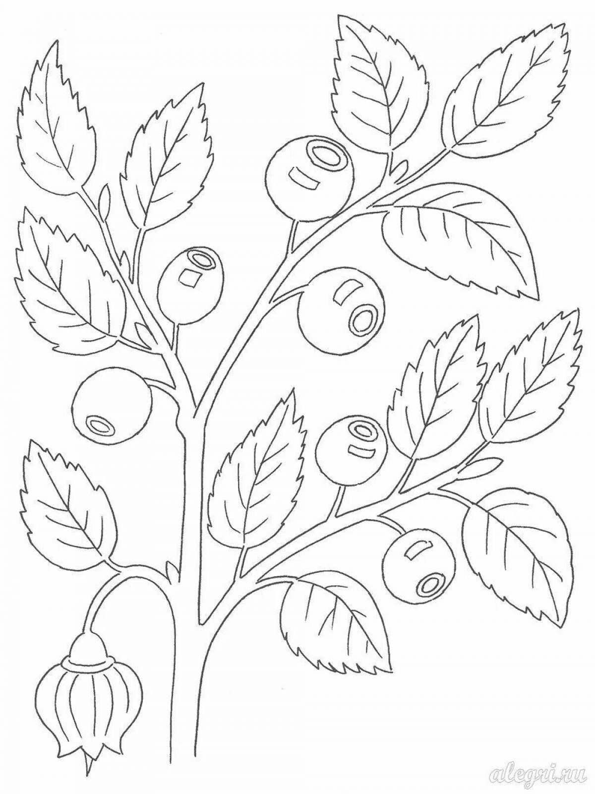 Glowing blueberry coloring book for kids