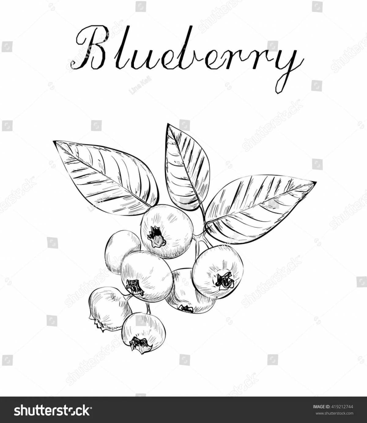 Color explosion blueberry coloring pages for kids