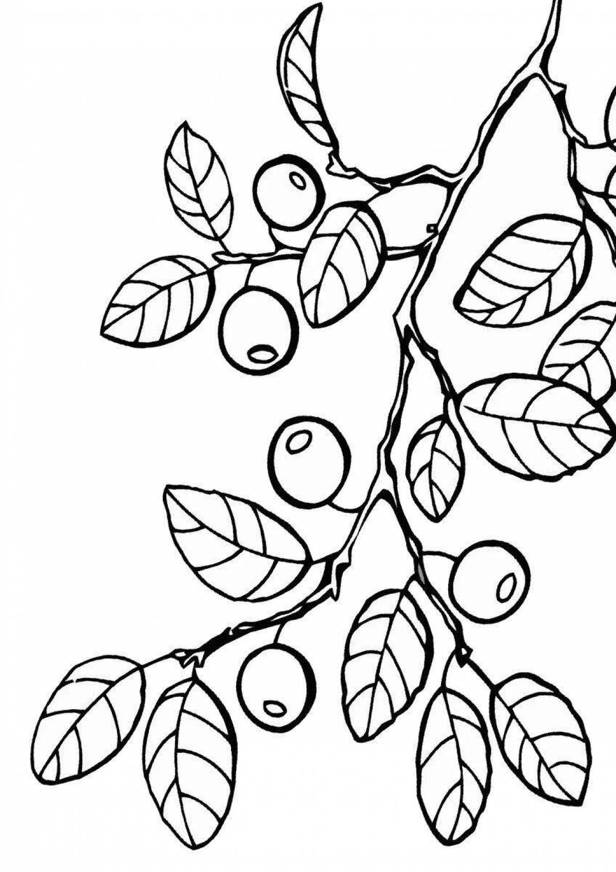 Colorful blueberry coloring book for kids