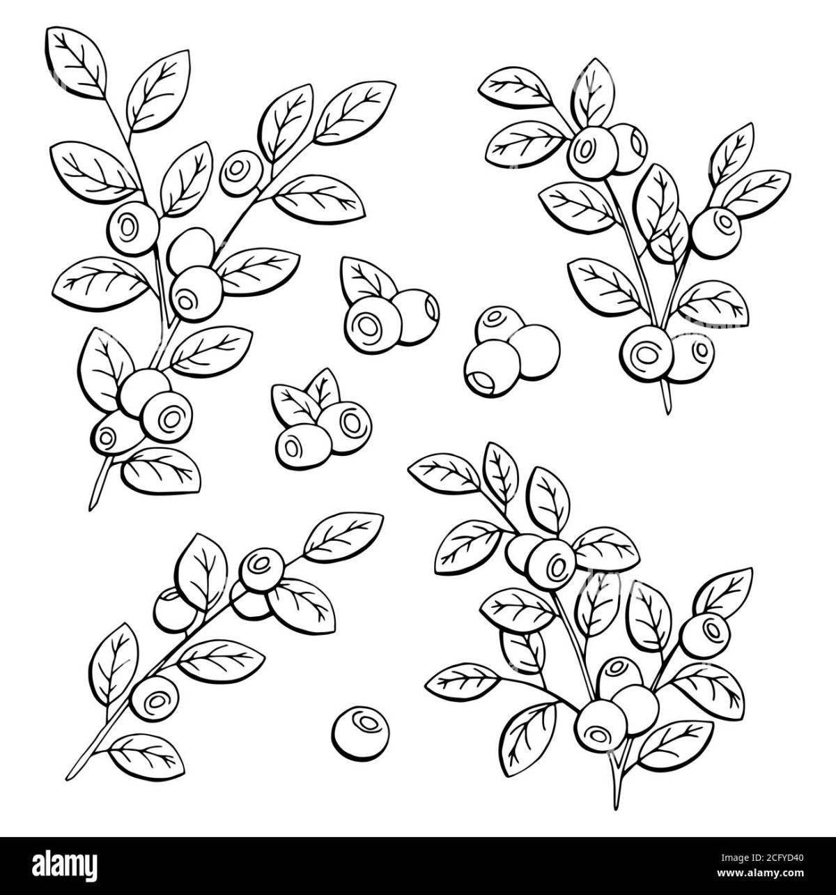 Color-frenzy cranberry coloring page for kids