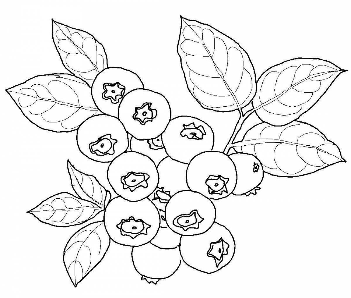 Adorable cranberry coloring book for kids