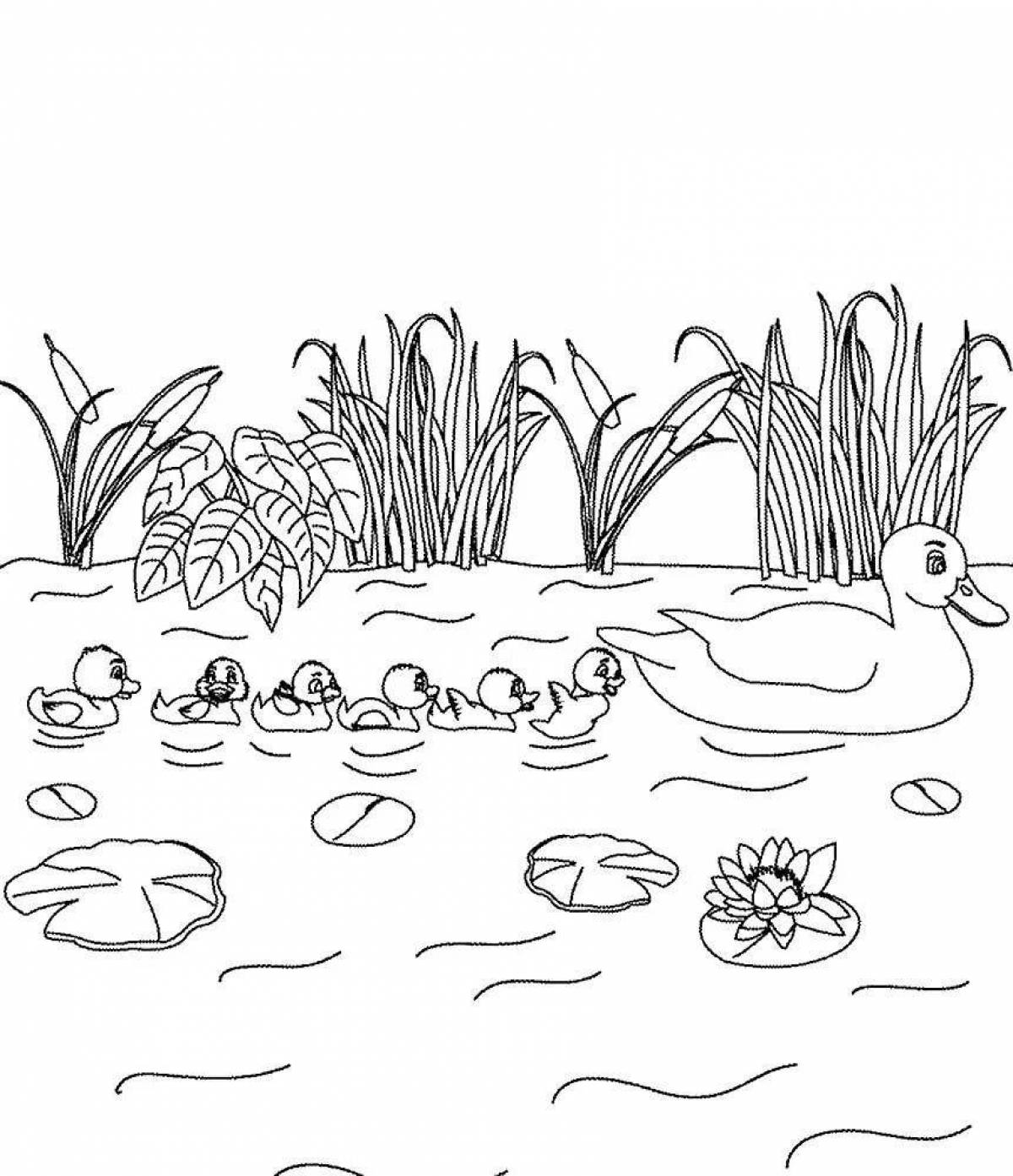 Luxury lake coloring book for kids