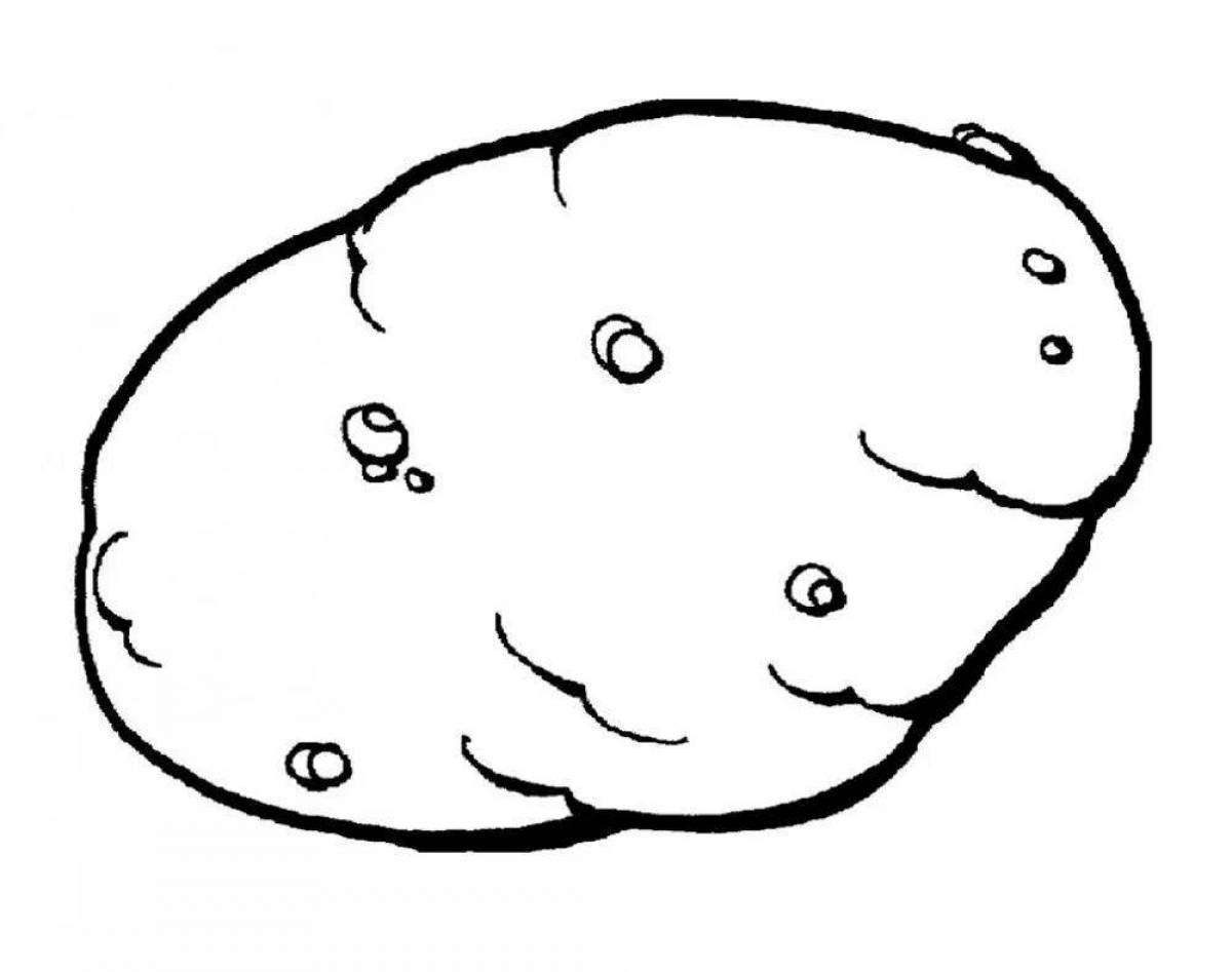 Baby potatoes #4