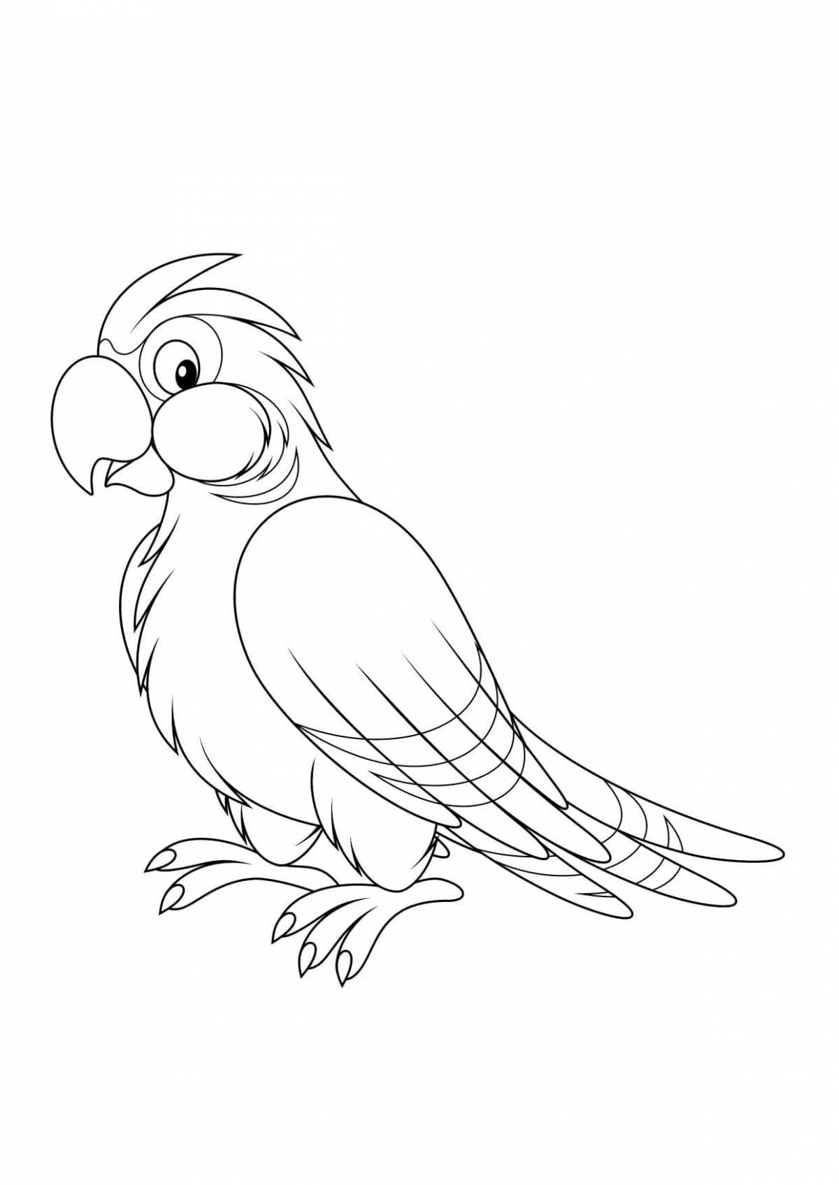 Яркая раскраска попугай для детей